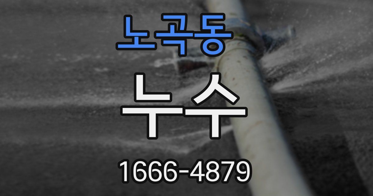 노곡동 누수