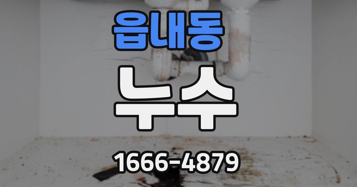 읍내동 누수