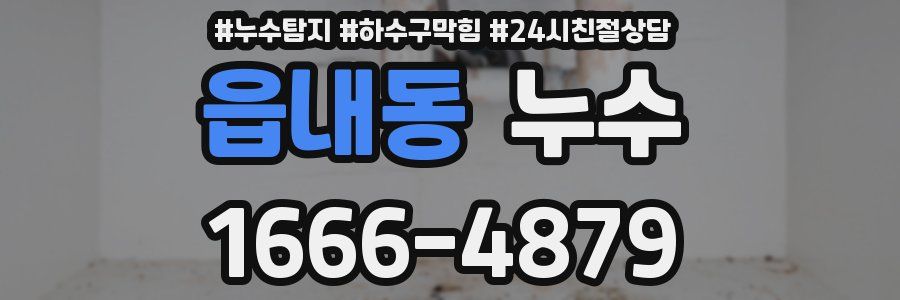 읍내동 누수