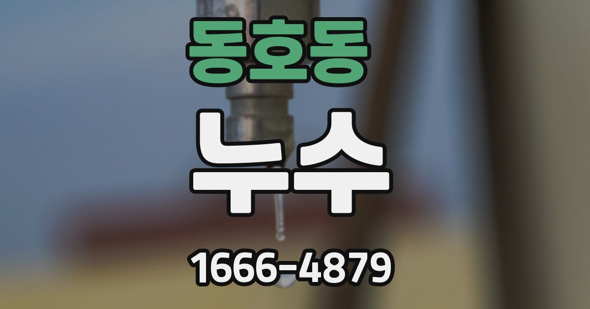 동호동 누수