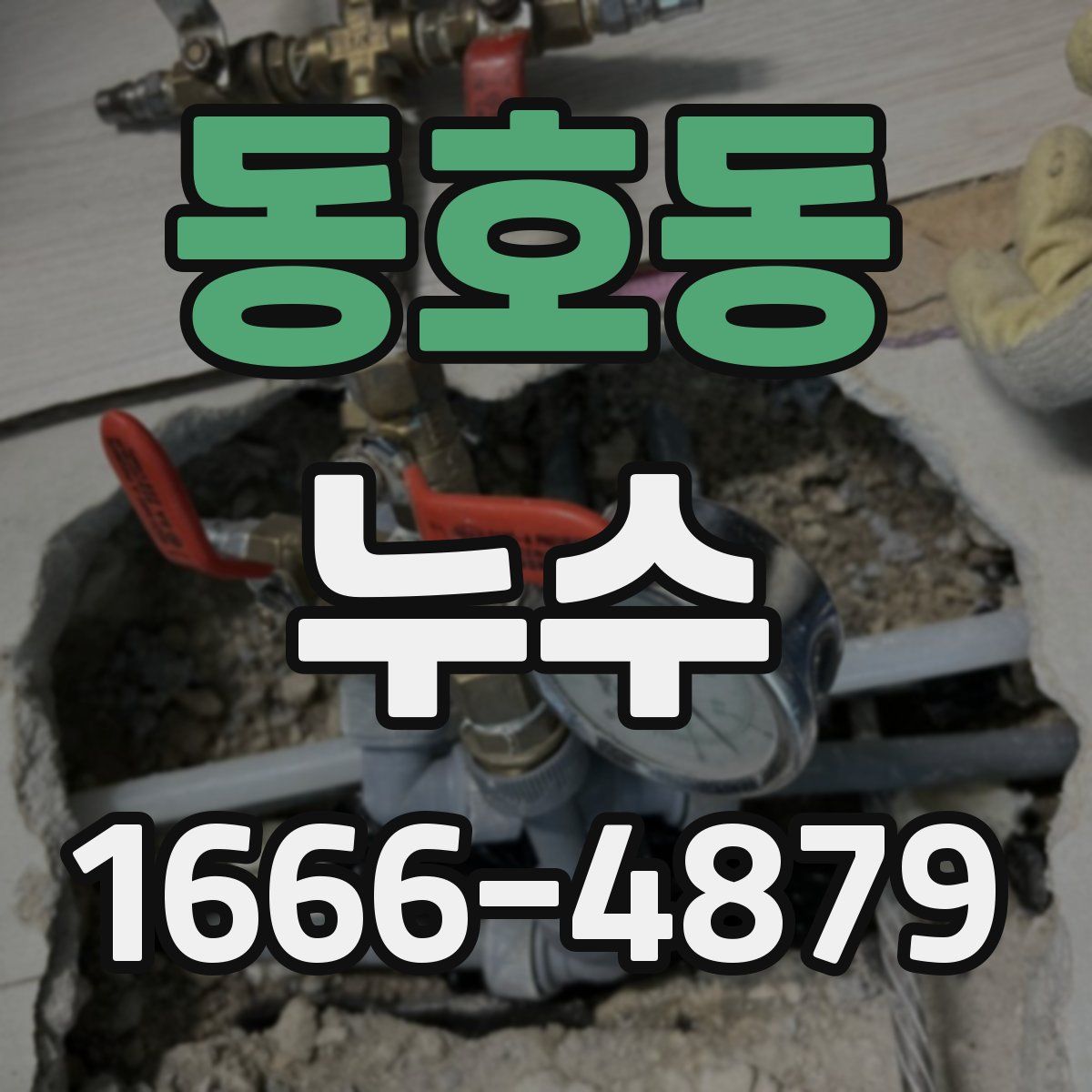동호동 누수