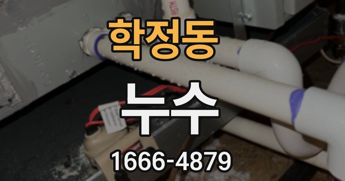학정동 누수