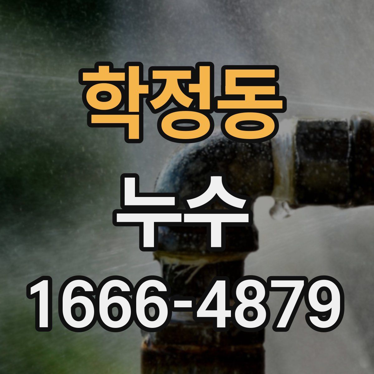 학정동 누수