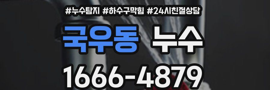 국우동 누수