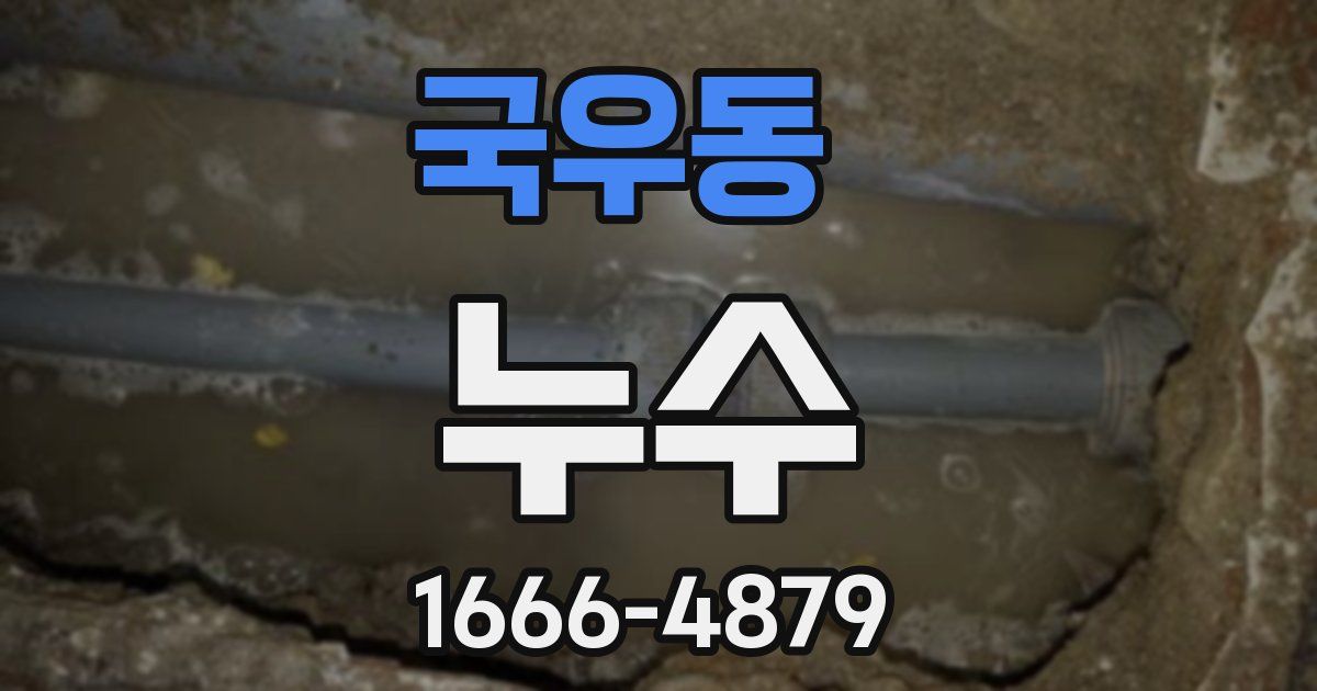 국우동 누수