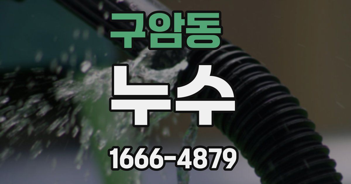 구암동 누수