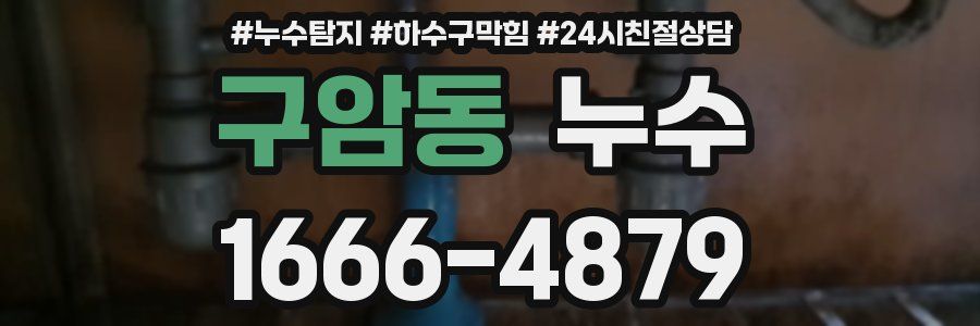 구암동 누수
