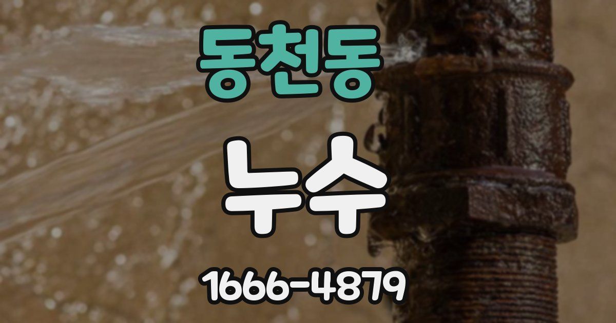 동천동 누수