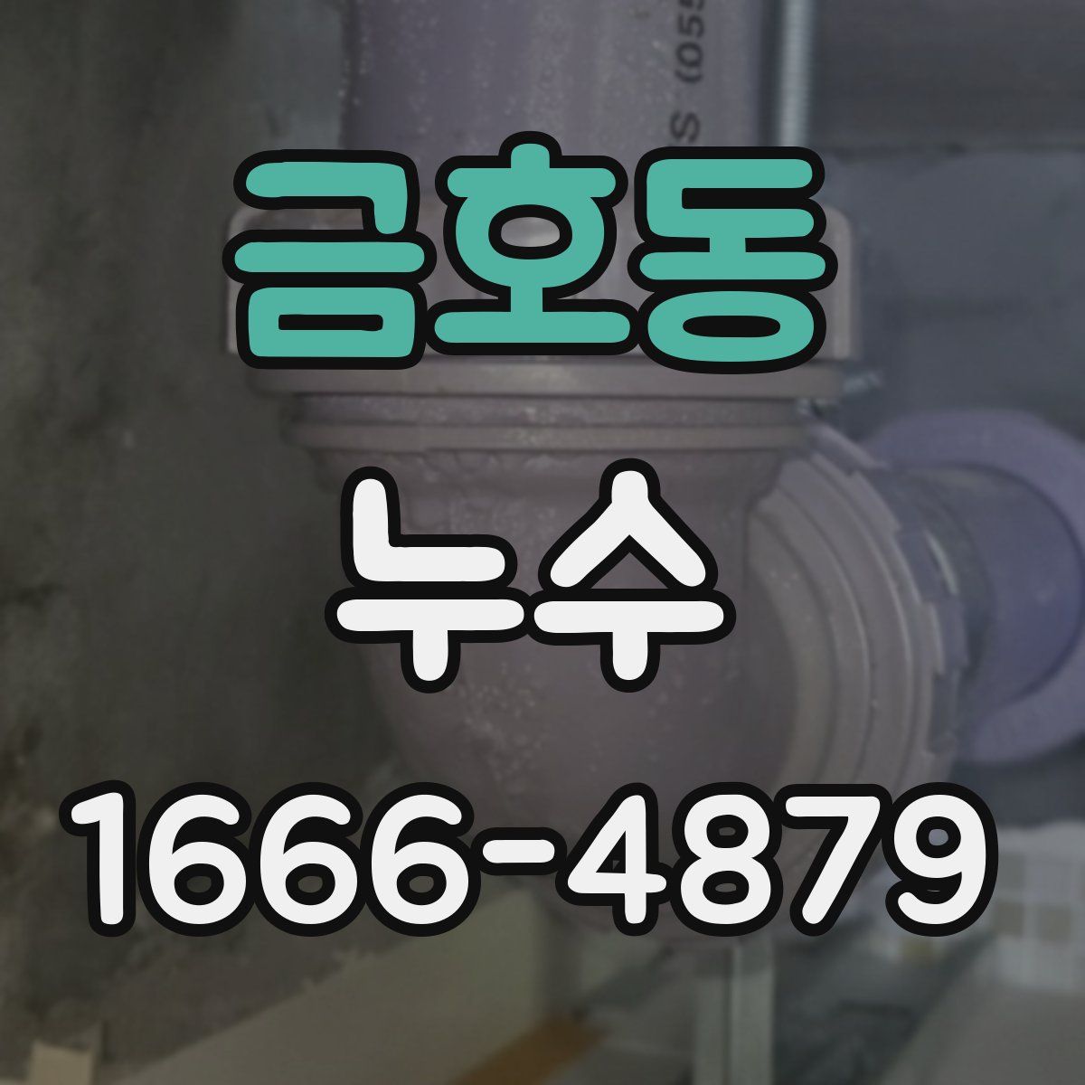 금호동 누수