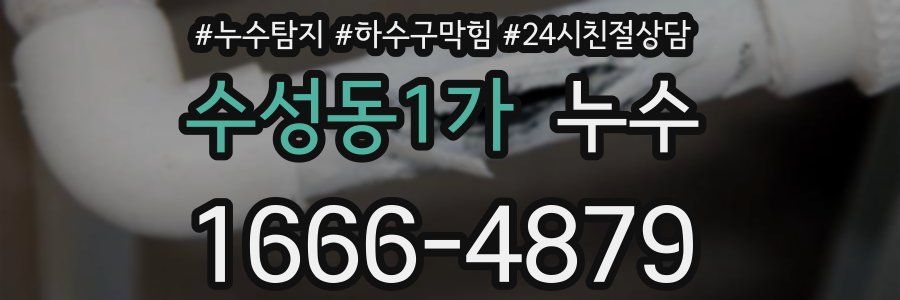 수성동1가 누수