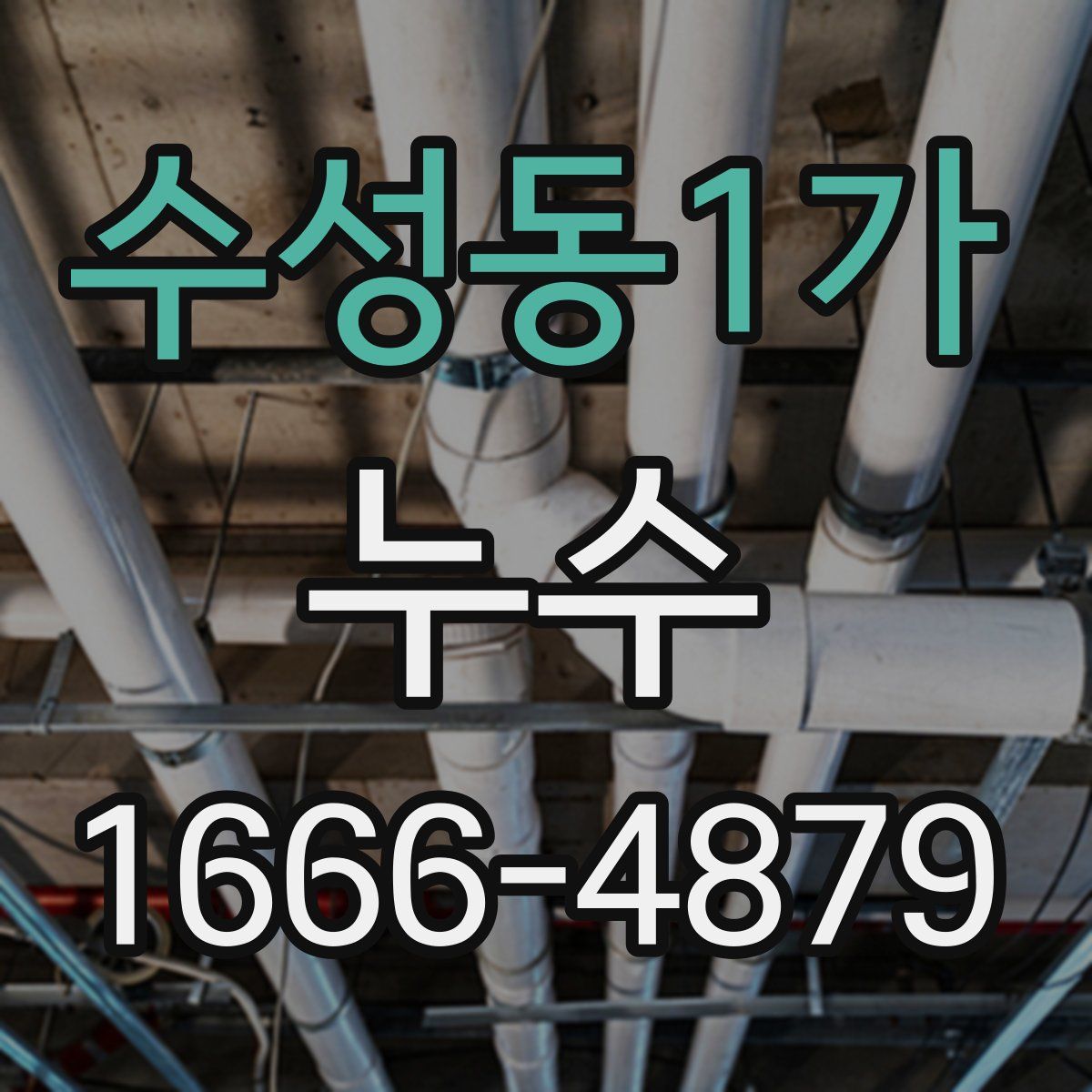 수성동1가 누수