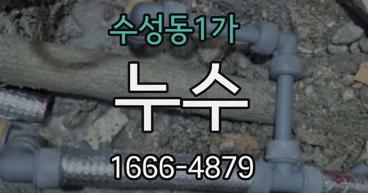 수성동1가 누수