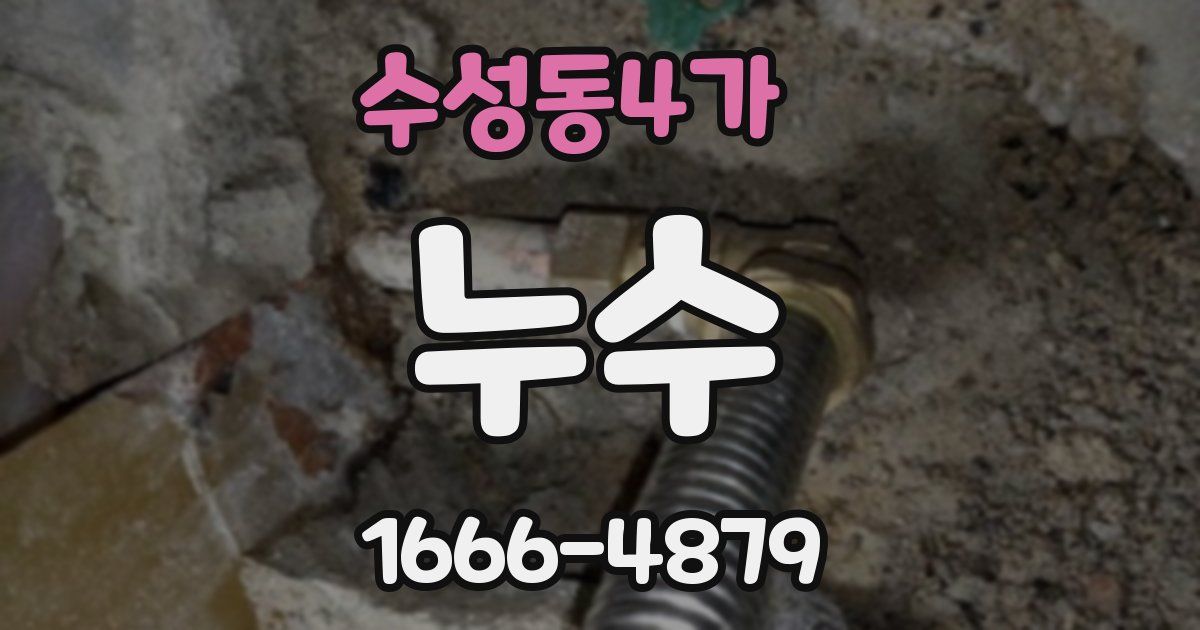 수성동4가 누수