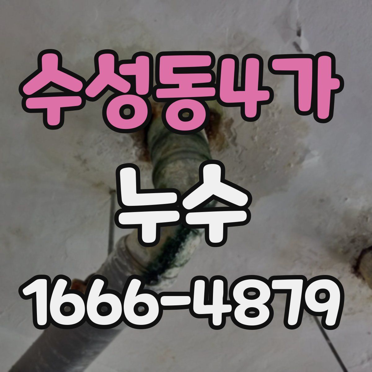 수성동4가 누수