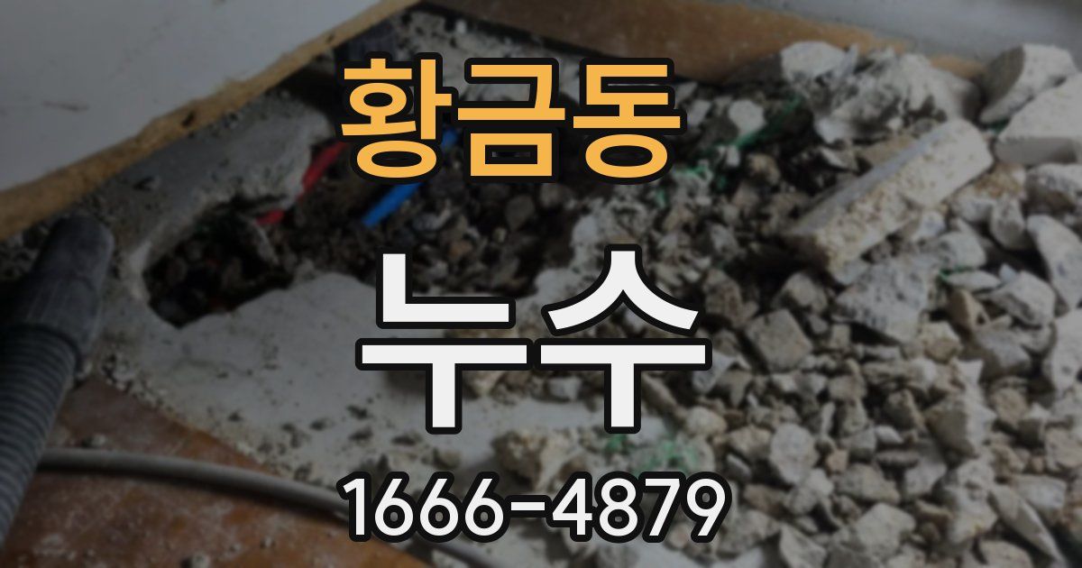 황금동 누수