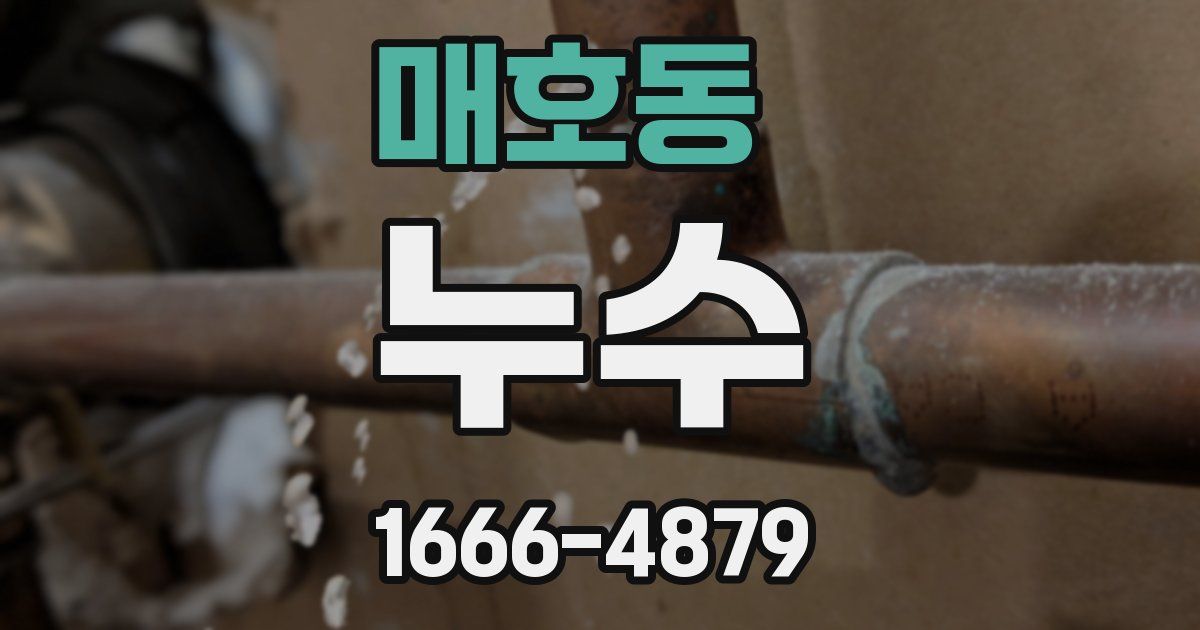 매호동 누수