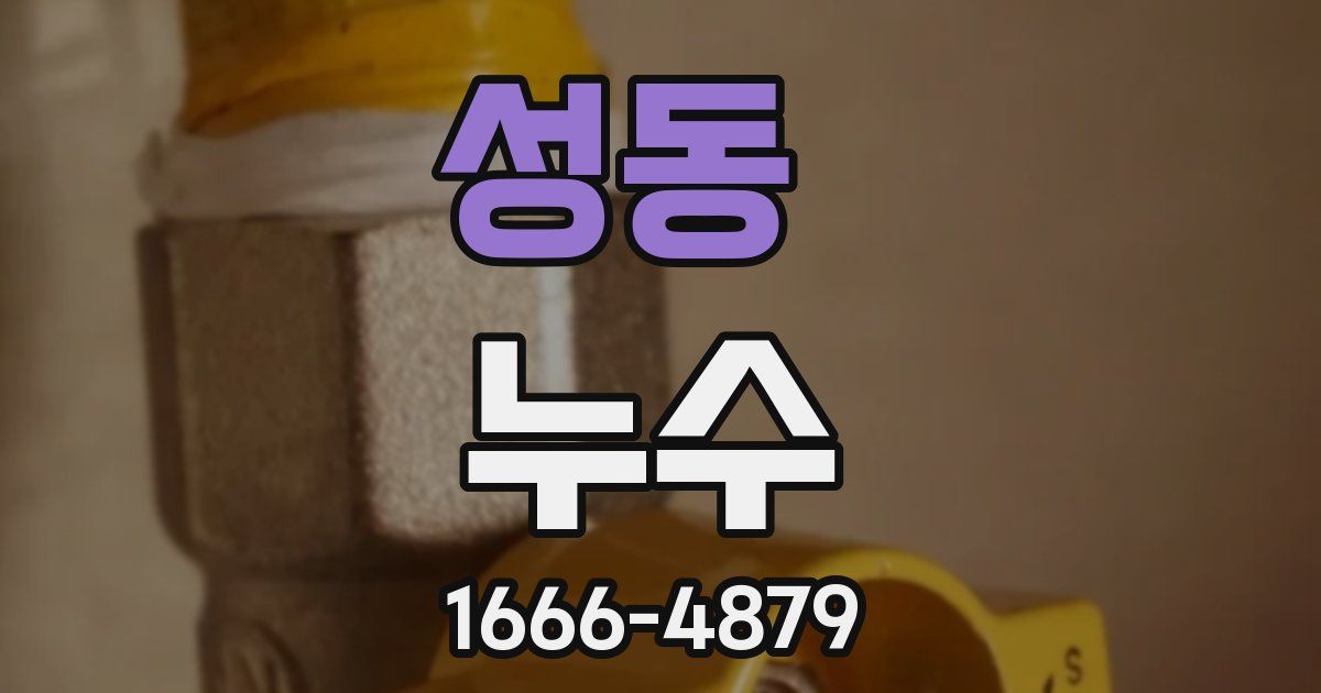 성동 누수