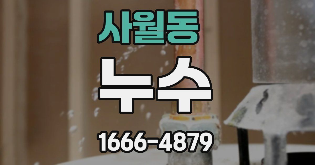사월동 누수