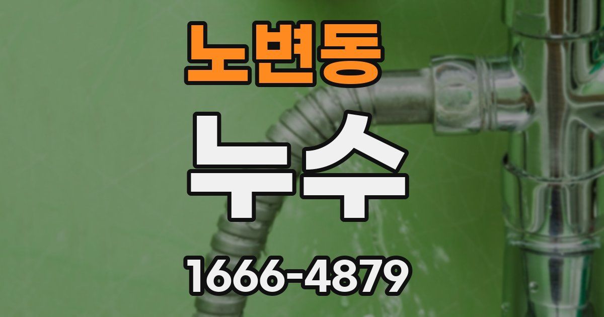 노변동 누수