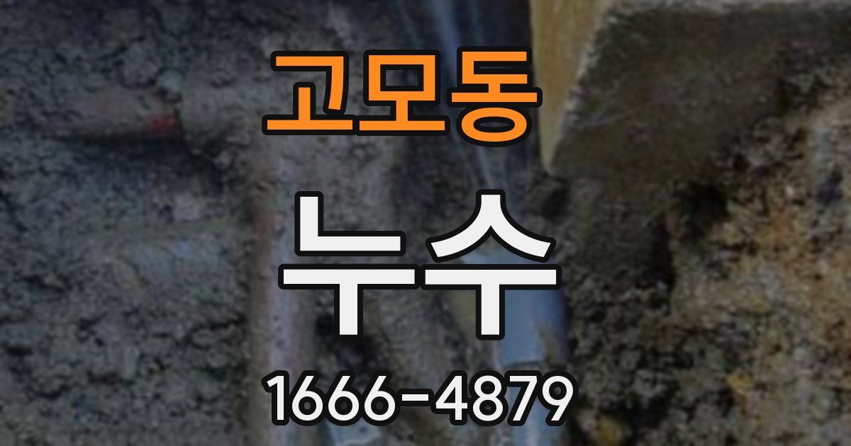 고모동 누수