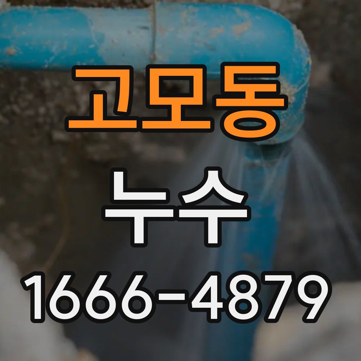 고모동 누수