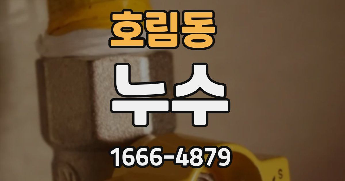 호림동 누수