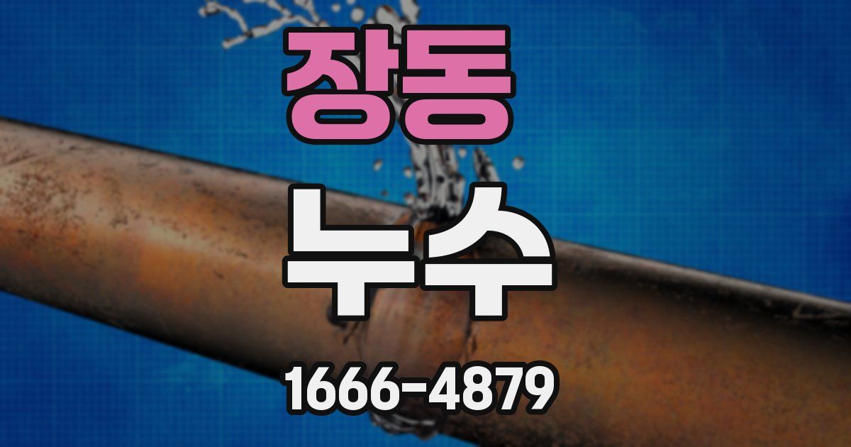 장동 누수