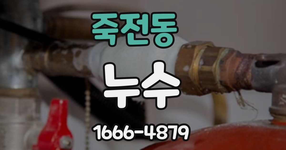 죽전동 누수