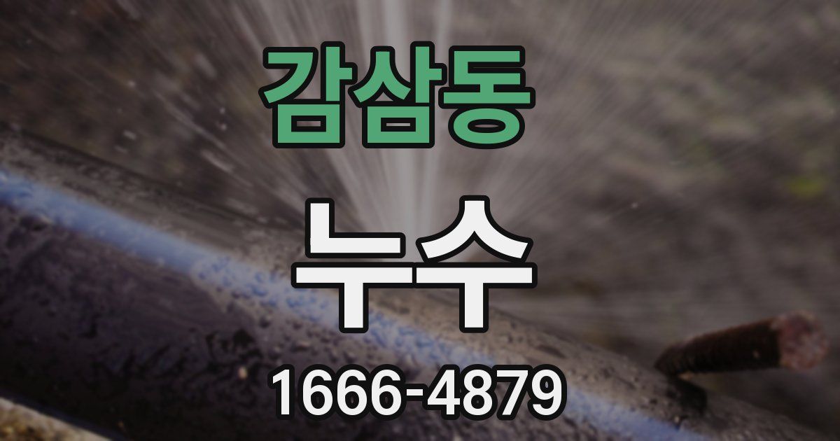 감삼동 누수