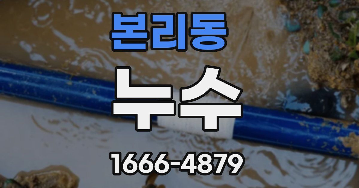 본리동 누수