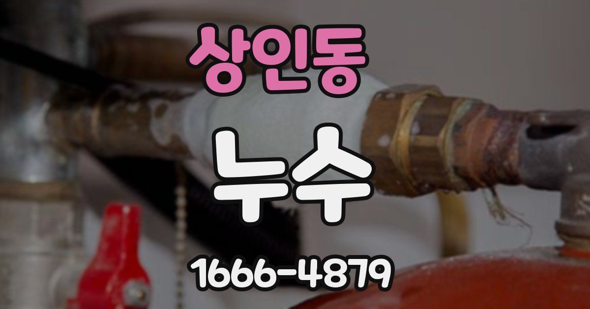 상인동 누수