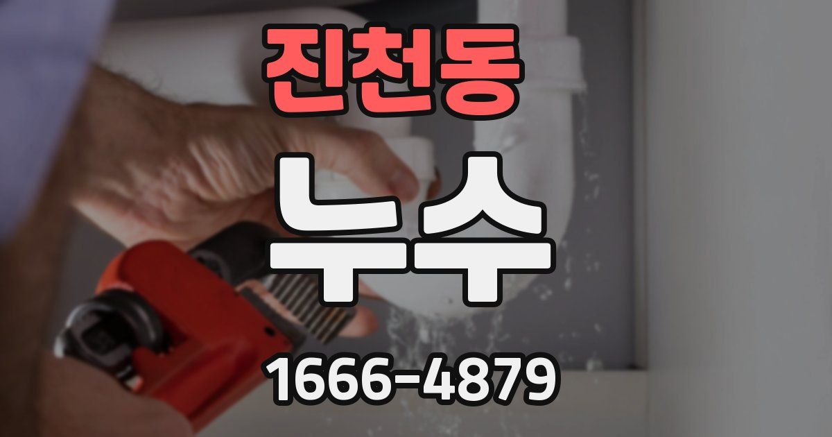 진천동 누수