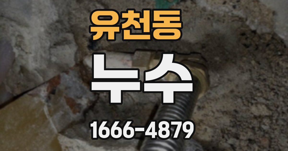 유천동 누수