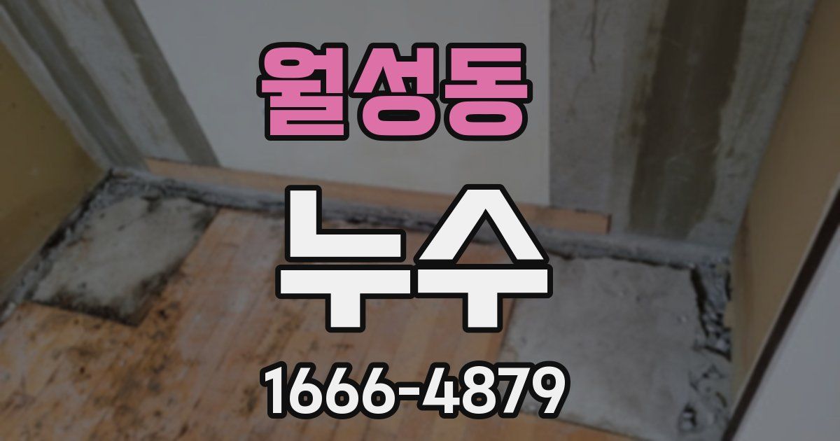 월성동 누수