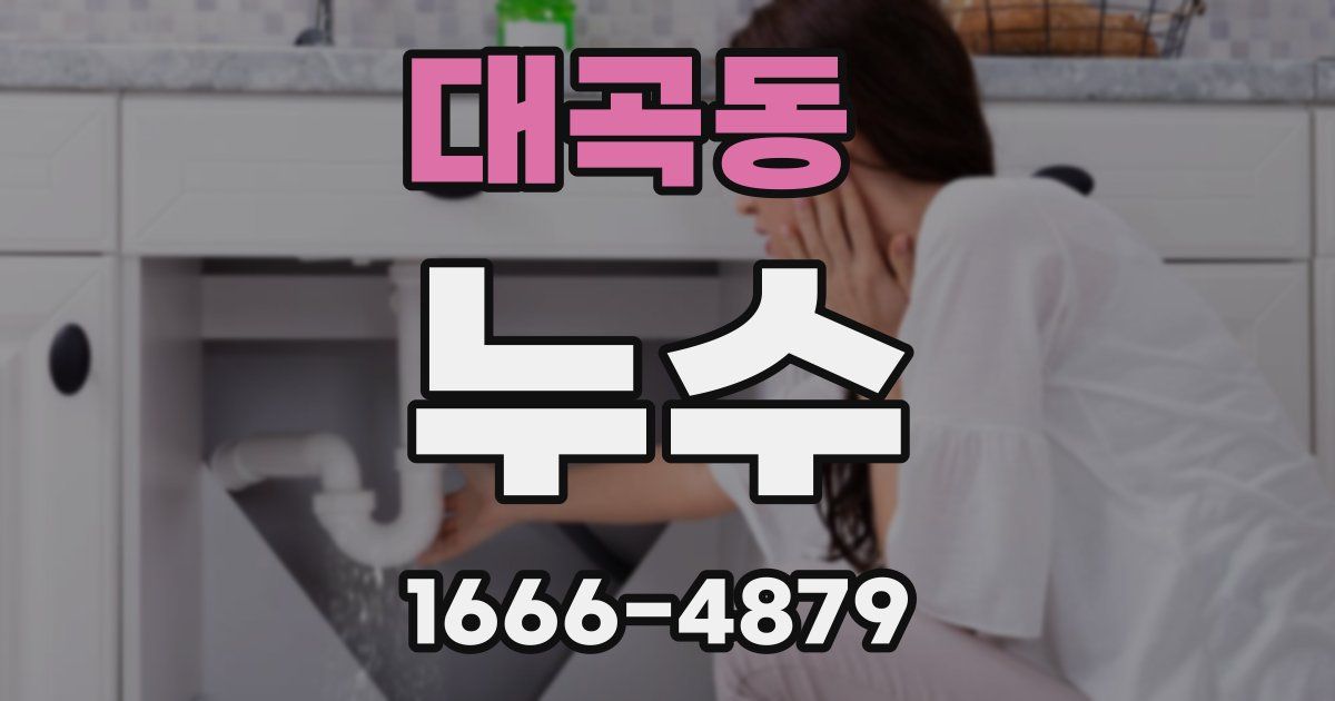 대곡동 누수