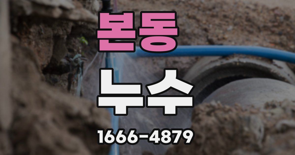 본동 누수