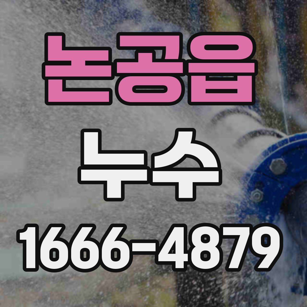 논공읍 누수