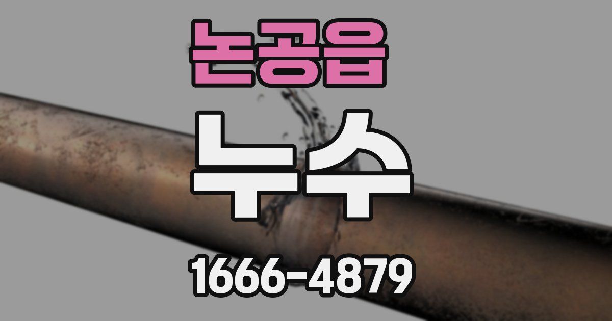 논공읍 누수