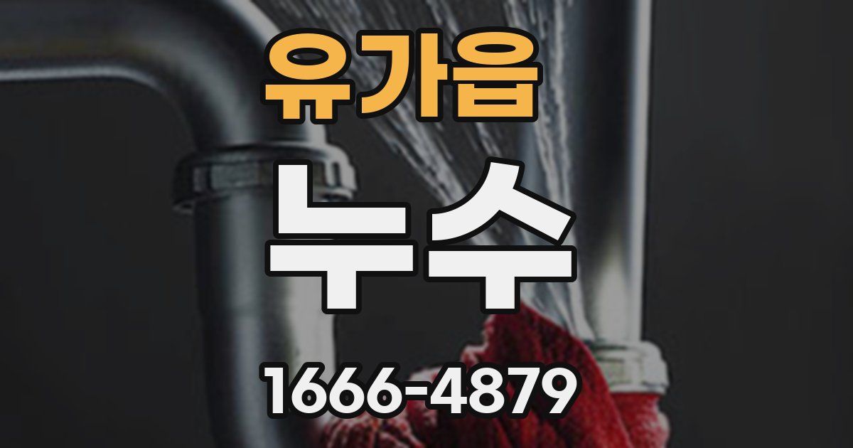 유가읍 누수