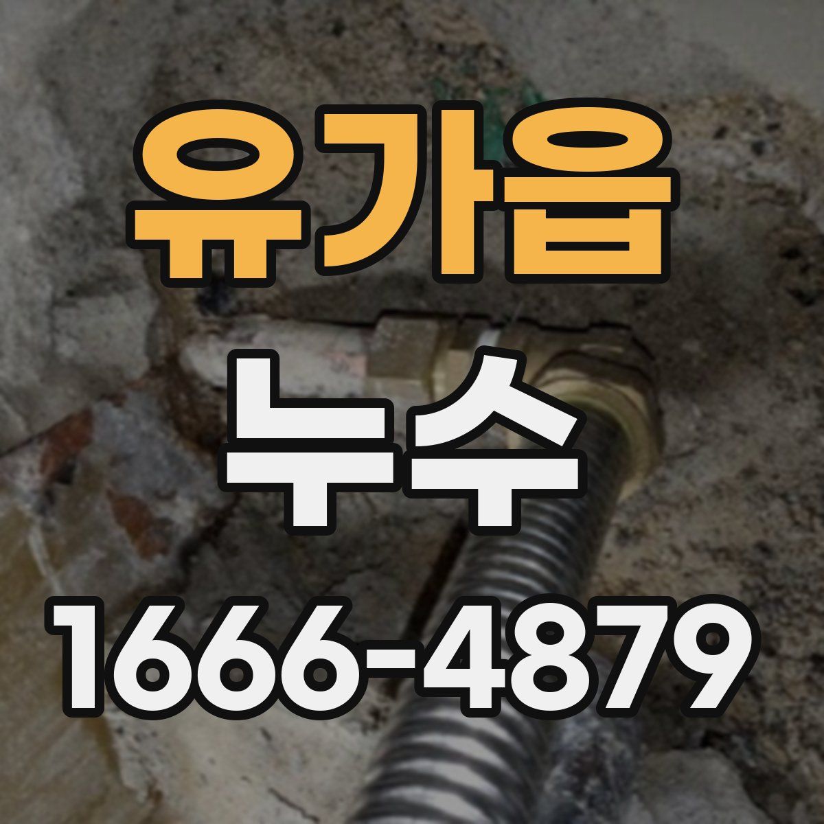 유가읍 누수