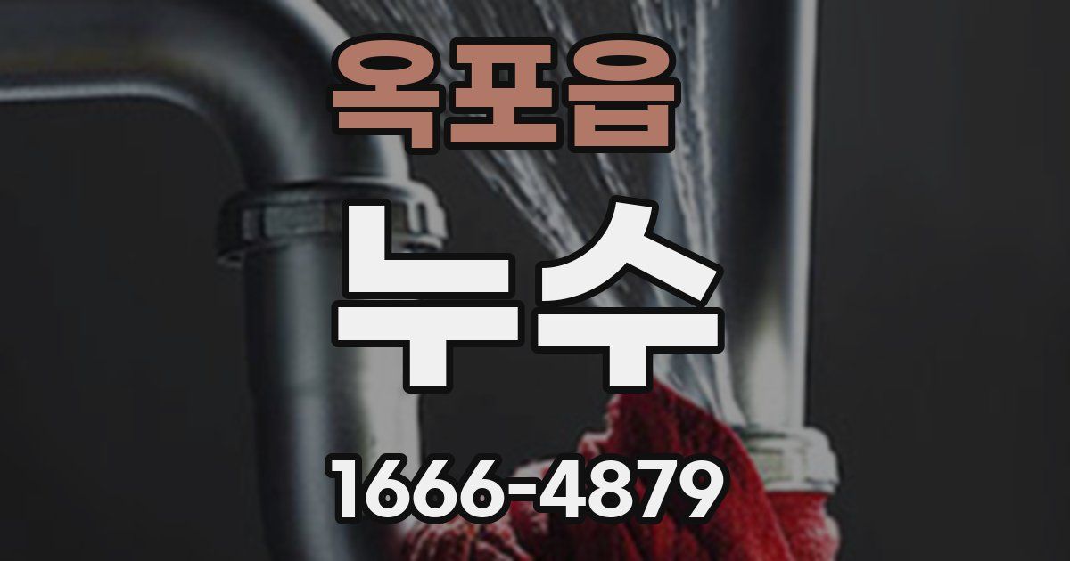 옥포읍 누수