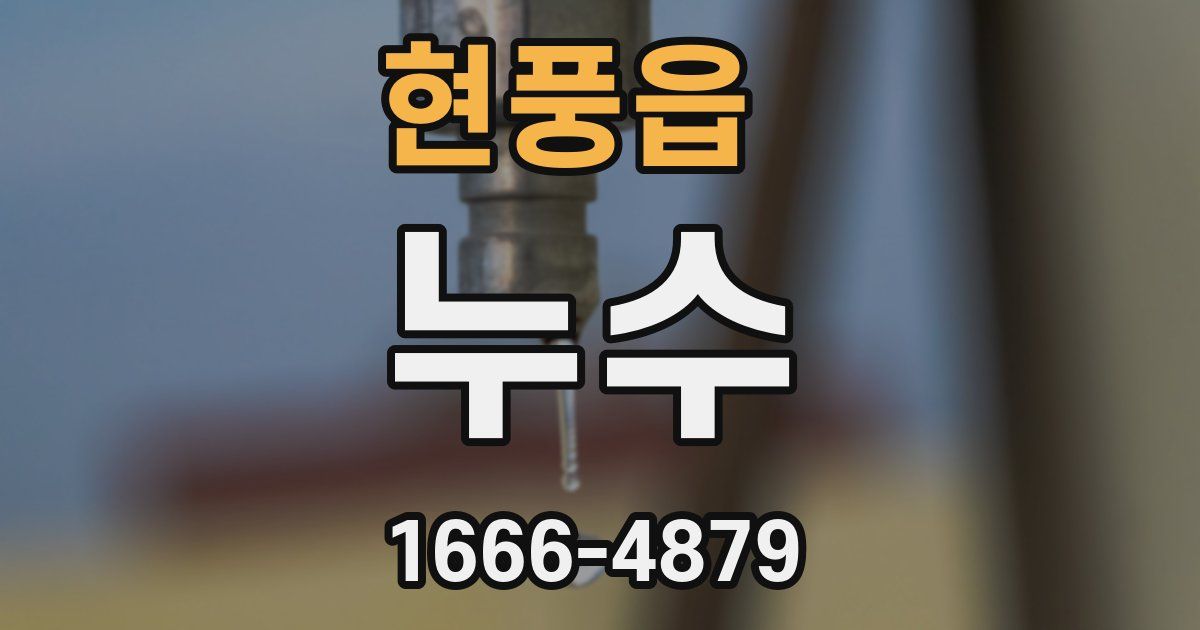 현풍읍 누수