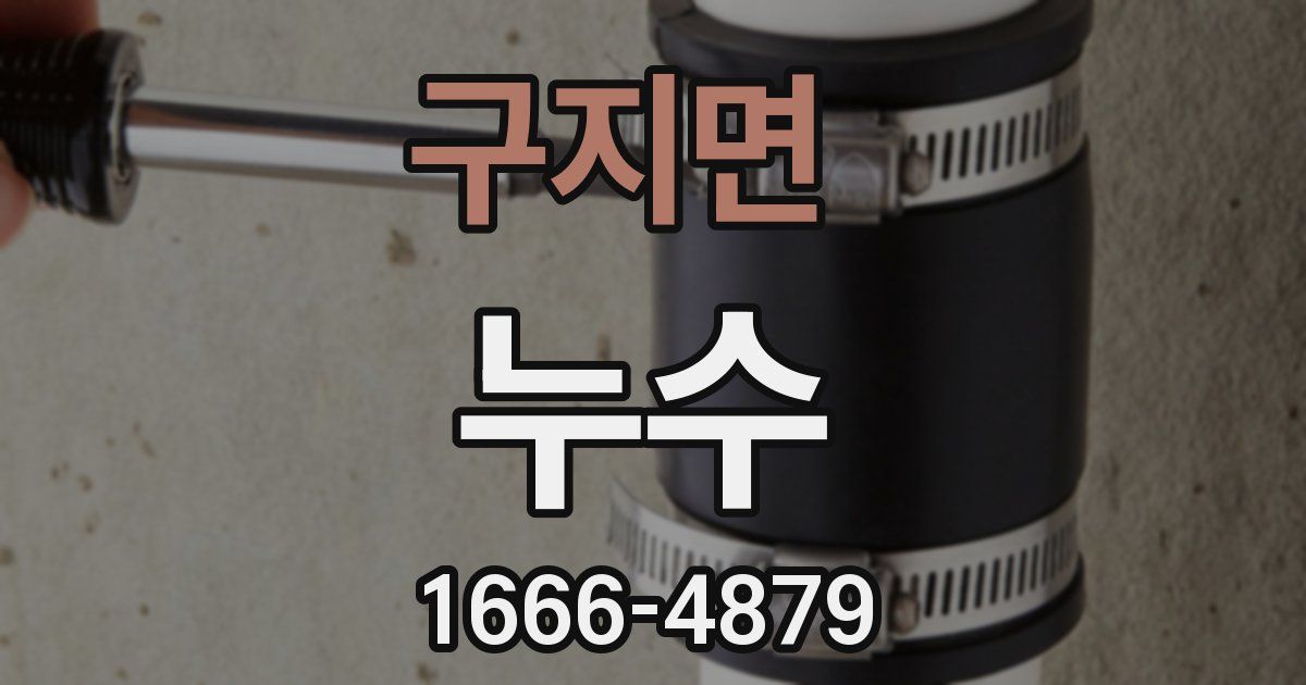 구지면 누수