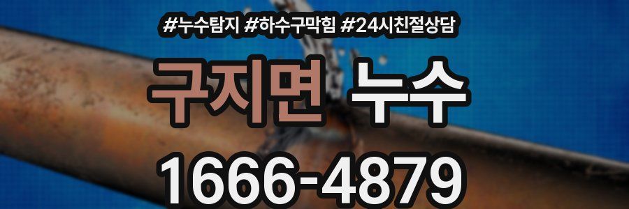 구지면 누수