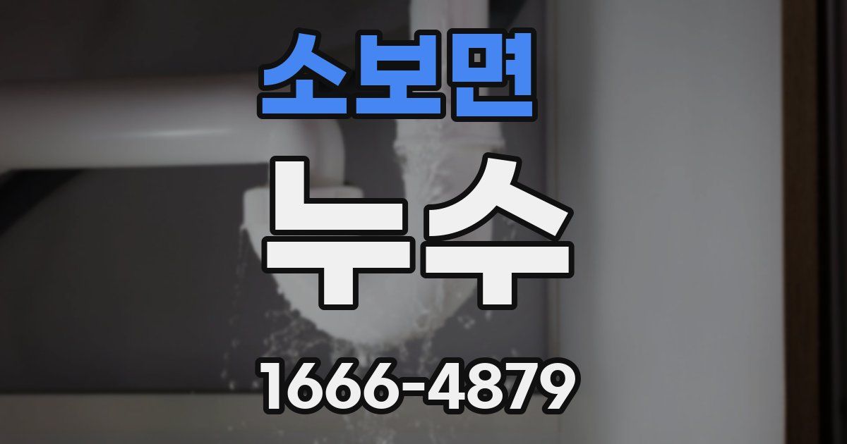 소보면 누수
