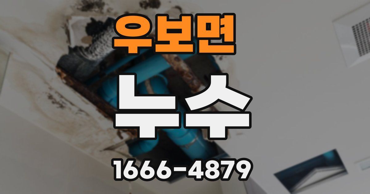 우보면 누수
