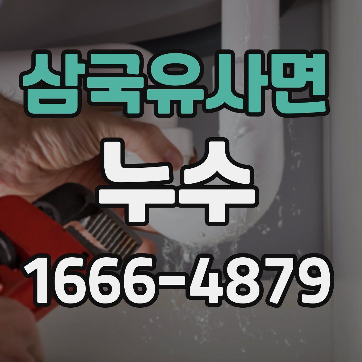 삼국유사면 누수