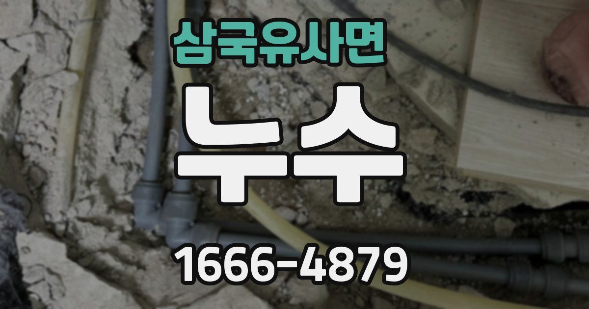 삼국유사면 누수