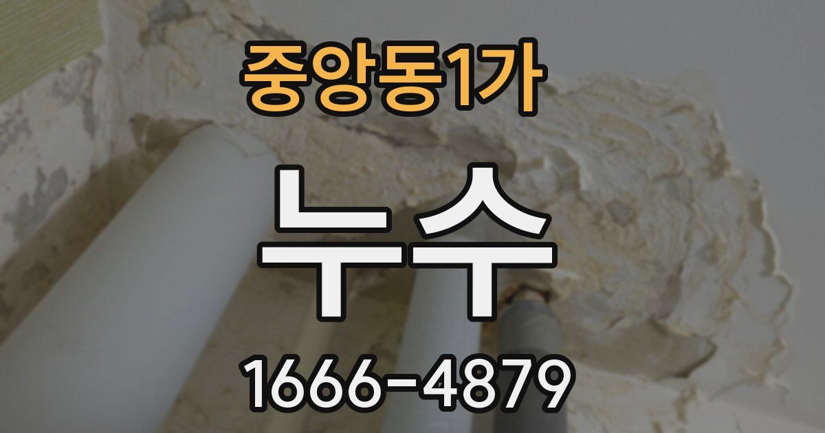 중앙동1가 누수