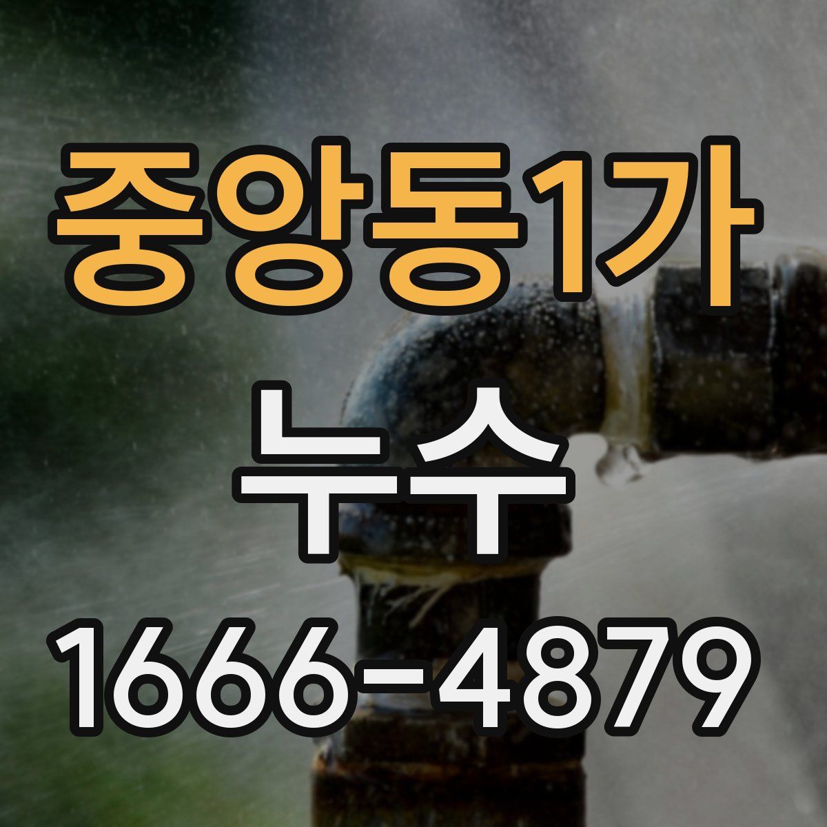 중앙동1가 누수